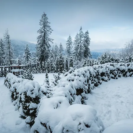 Visitzakopane - Janosik Apartment *